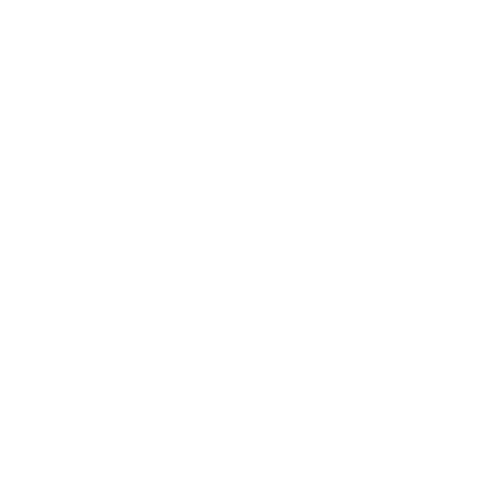 Tour Guide System Radioguide